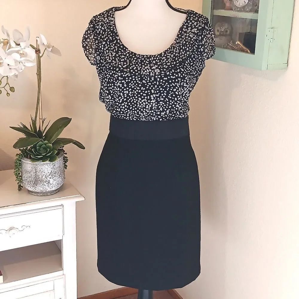 Chic New York & Company Polka Dot Dress. Career. Professional. Classic
